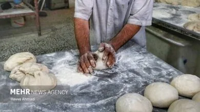 همسو صنعتی