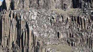 همسو صنعتی