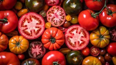 خوردن گوجه فرنگی برای این افراد ضرر دارد؛ ۵ عارضه و نکته ...