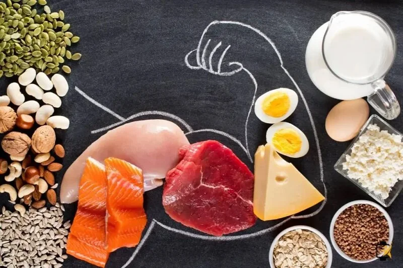 همه غذاهای پروتئین سالم نیستند؛ بهترین و بدترین منابع پروتئین کدامند؟