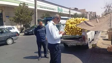 آغاز جمع‌آوری خودروهای اسقاطی و وانت‌بارهای فروشنده از سطح شهر