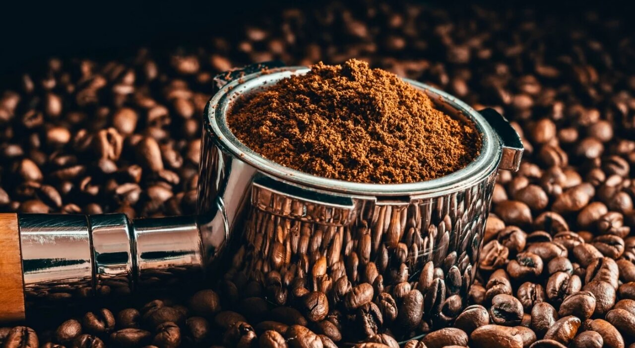 اصطلاحات پشت بسته قهوه چه معنایی دارند؟؛ راهنمای انتخاب قهوه اصطلاحات پشت بسته قهوه چه معنایی دارند؟؛ راهنمای انتخاب قهوه